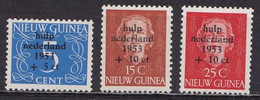 NNG 1953 Watersnoodzegels Ongestempelde Serie NVPH 22 / 24 - Netherlands New Guinea