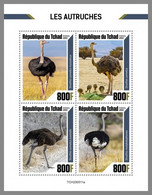 CHAD 2020 MNH Ostriches Strauße Straußenvögel Autruches M/S - OFFICIAL ISSUE - DHQ2106 - Straussen- Und Laufvögel