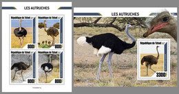 CHAD 2020 MNH Ostriches Strauße Straußenvögel Autruches M/S+S/S - IMPERFORATED - DHQ2106 - Straussen- Und Laufvögel