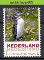 FG174   2 Scans PERSOONLIJKE POSTZEGEL PERSONAL STAMP FAUNA VOGELS PINGUIN PENGUIN BIRDS AVES OISEAUX NEDERLAND PF/MNH - Penguins