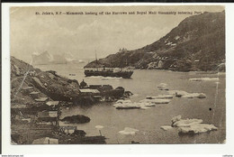 TERRE NEUVE . ST.JOHN S . N. F. . MAMMOTH ICEBERG OFF THE NARROWS AND ROYAL MAIL STEAMSHIP ENTERING PORT - St. John's