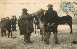 Angoulême * Marché * Croquis De Foire * Marchand âne Mulet - Angouleme