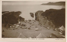 ILFRACOMBE - N° T 11 - BARRICANE SHELL BEACH - Ilfracombe