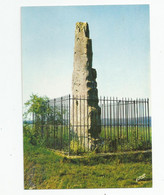 52 Haute Marne Env De St Dizier Le Menhir Fontaines Sur Marne - Saint Dizier