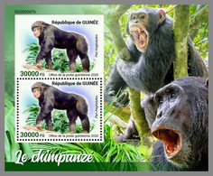 GUINEA REP. 2020 MNH Chimapanzee Schimpansen Chimpanze S/S - IMPERFORATED - DHQ2108 - Chimpansees