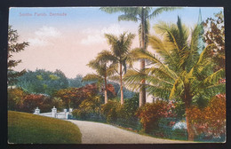 Bermuda Postkarte "Smiths Parish" Ungebraucht - Bermuda