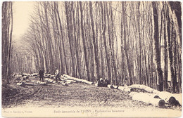 Forêt De Lyons - Exploitation Forestière - Lyons-la-Forêt