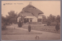 Keerbergen   Villa.  ,,Triboefikee,,  Zie  Scans - Keerbergen