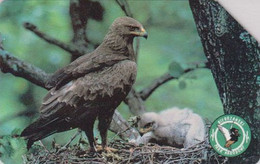 TC POLOGNE - ANIMAL / Série Bierbrzanski Park 4/10 - OISEAU AIGLE POMARIN Au Nid - EAGLE BIRD POLAND Phonecard - BE 5525 - Eagles & Birds Of Prey