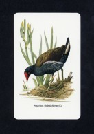 Carte Calendrier Oiseau Bird Poule D'eau (C02) - Other