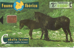 TELECARTE ESPAÑA ESPAGNE FAUNA CABALLO X 2 - Other & Unclassified