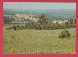 Matagne-la-Grande - Panorama ... De La Localité - Doische