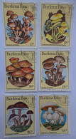 Burkina Faso 1985 Fungi [USED] - Burkina Faso (1984-...)