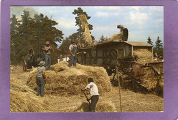 TRADITIONS DE LA CAMPAGNE  Les Moissons Le Battage à L'ancienne - Cultures