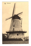 BOECHOUT - Windmolen - Niet Verzonden - Uitgace Thill - Böchout