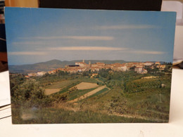 Cartolina Montescudaio Prov Pisa  Panorama - Pisa