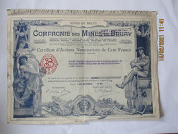 MINES DE BRUAY COMPAGNIE DES MINES DE BRUAY CERTIFICAT D'ACTIONS NOMINATIVES DE CENT FRANCS BRUAY LE 28 DECEMBRE 1950 - Unclassified