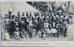 C. P. A. : Nouvelle Calédonie : Cocotiers Et Une Tribu Canaque, En 1907 - Nuova Caledonia