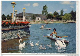 WAGING Am See, Traunstein, Oberbayern - Strandkurhaus, Paddelboot, Schwan     1972 - Waging