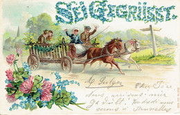 Carte Fantaisie Embossée Seigerusst Attelage De 2 Chevaux Myosotis Envoyée De Wiesbaden 1904 Serie 707 N° 2726 - Other & Unclassified