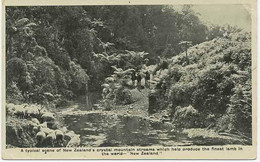 NEW ZEALAND 1930 Mint B/w RP Pc New Zealand's Crystal Mountain Streams - New Zealand