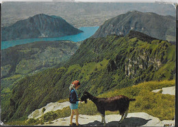 SVIZZERA - PONTE TRESA - ALBERGHI-VETTA MONTE GENEROSO - VIAGGIATA 1965 - Ponte Tresa