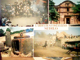 SEDILO, S' ARDIA, ANIMATA PALIO CAVALLI  VEDUTE   N1990 HZ4766 - Oristano