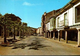 Espagne : Cervera Del Rio Pisuerga Calle De Matias Barrio Y Mier - Palencia