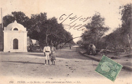 1908 Tunis - Le Bardo ( Palais Du Bey ) - Allée Conduisant Au Palais. - Tunesië