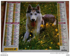 Almanach -la Poste- 1998 - BERGERS ALLEMANDS Verso HUSKY  -a L'intérieur Calendrier Foot France 98  (voir Photos) - Grand Format : 1991-00