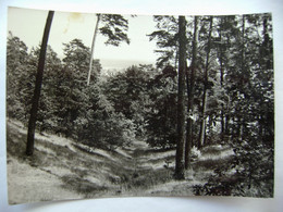 Berlin - Müggelheim, Blick Von Den Müggelbergen - Posted 1971 - Koepenick