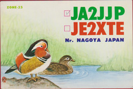 QSL Card Amateur Radio Station Japan Nagoya Itoh 1979 Canard Mandarin Duck Mandarinente Japon Nippon Funkkarte - Amateurfunk