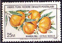 TürkischZypern Turkish Cyprus Turque De Chypre - Mandarinen (Citrus Nobilis) (MiNr: 30) 1976 - Gest Used Obl - Gebraucht