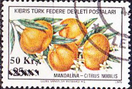 TürkischZypern Turkish Cyprus Turque De Chypre - Mandarinen (Citrus Nobilis) (MiNr: 66) 1979 - Gest Used Obl - Gebraucht