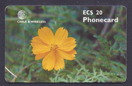 Antigua & Barbuda - EC$ 20 Flora, Flower, Flowers, Fleur, Orange Cosmos - Cable & Wireless - Phonecard - Antigua And Barbuda