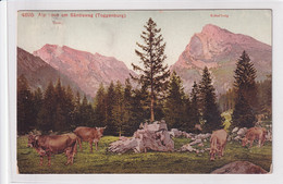 Alp Loue Am Säntisweg (Toggenburg) - Galaufen Ab Wildhaus Nach Altstätten - Altstätten