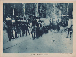 Pour L'Enseignement Vivant (24x18cm) - Les Colonies Francaises - Gabon - Exploitation Forestiere - Gabón