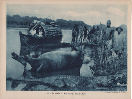 Pour L'Enseignement Vivant (24x18cm) - Les Colonies Francaises - Tchad - Au Bord Du Fleuve Chari - Tschad