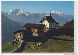 BETTMERALP, ALM, Interlaken-Oberhasli, Wallis, Fletschhorn Und Dom, Panorama  - 1973 - Bettmeralp