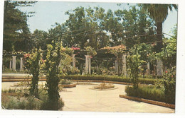 CPA , Espagne , N°P20301 , Melilla , Detalle Del Parque Hermandez ,Ed. 1959 - Melilla