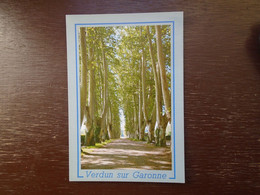 Verdun-sur-garonne , L'allée Des Platanes - Verdun Sur Garonne