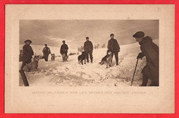 WORLD WAR ONE    MILITARY SEARCH DOGS   HUSKY   ARTIST  SALISBURY  HAUTES VOSGES FRANCE  88 - Oorlog 1914-18