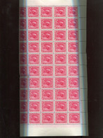 Belgie 1934 Monarchie 403a HALVE SHEET Of 50 MNH RRR OCB 600€ - 1931-1950