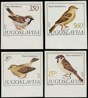 ** Oiseaux - Poste - Yougoslavie, Yvert 1811/14, Non Dentelés, Bdf: Oiseaux - Altri & Non Classificati