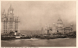 Liverpool - Liver Buildings And Dock Offices From River - Inused Post Card - Liverpool