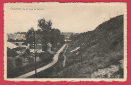 Chaumont - Le Ry Sous Les Falaises -1955 ( Voir Verso ) - Chaumont-Gistoux