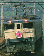 JAPON Type 65EL Sakura Of The Tokaido Main Line - Treinen