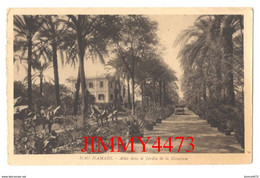 CPA - NAG-HAMADI En 1947 - Allée Dans Le Jardin De La Direction ( Arr. De Louxor Egypte ) Edit. P. G Evrard - Otros