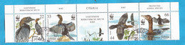2011SRB    SERBIEN SERBIA SRBIJA FAUNA BIRDS WWF USED - Used Stamps