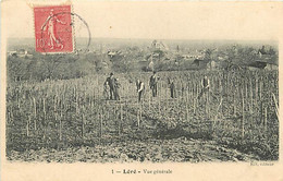 18  LERE - VUE GENERALE - Lere